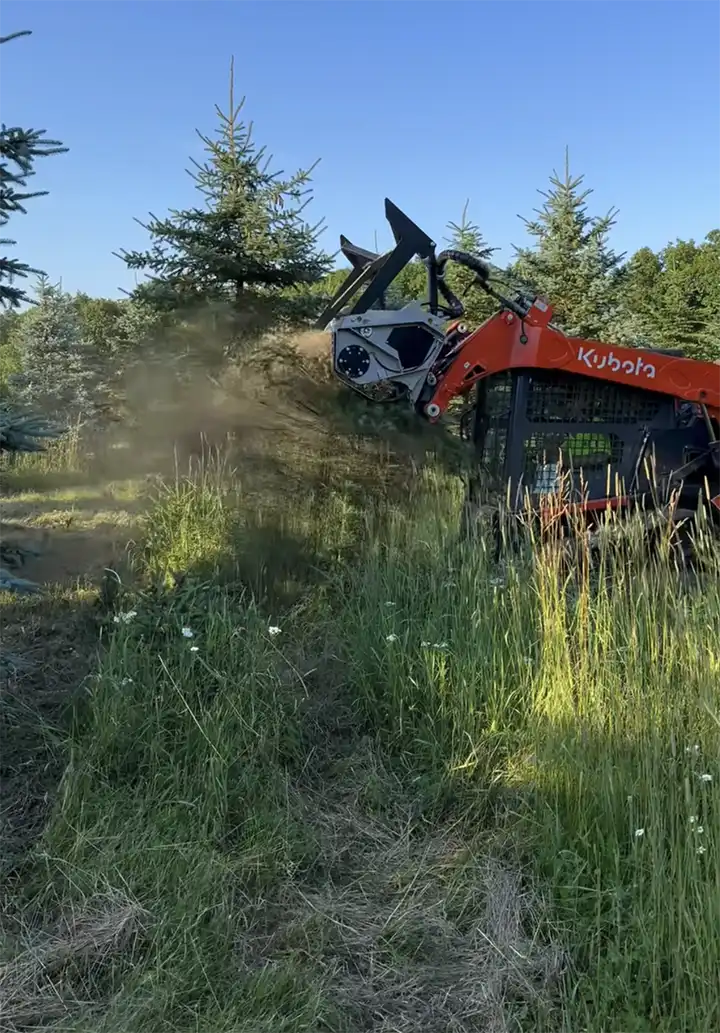 King Creek Forest Mulching