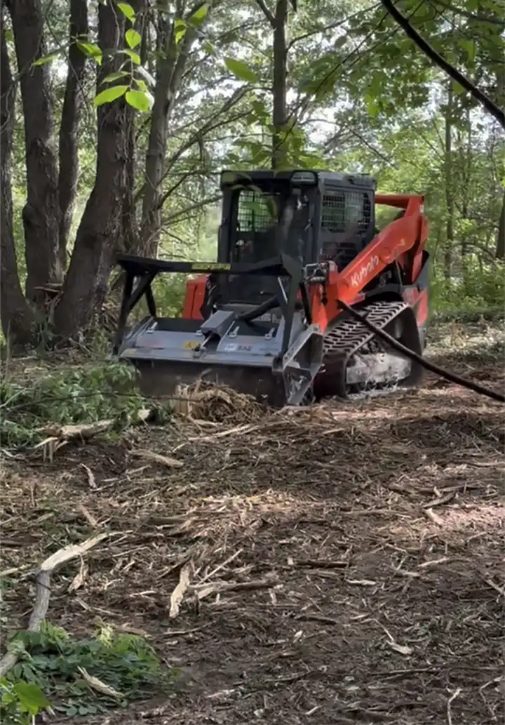 King Creek Forest Mulching