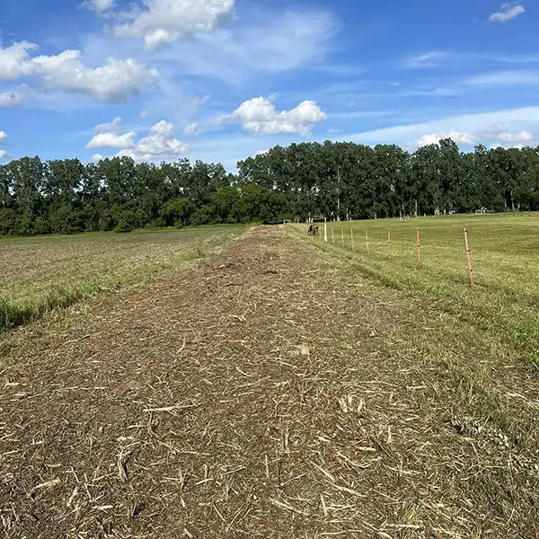 King Creek Forest Mulching