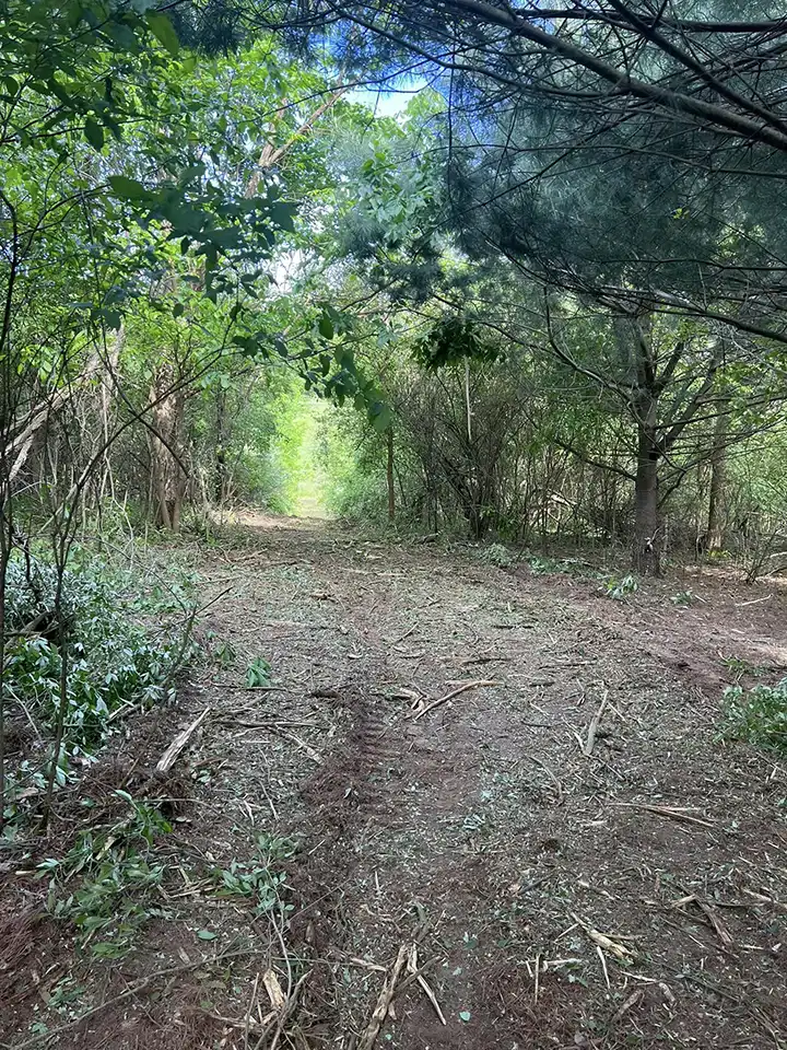 King Creek Forest Mulching