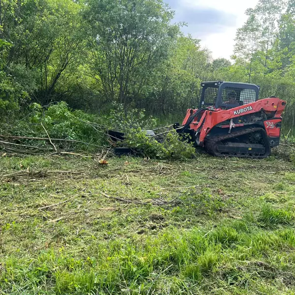 King Creek Landscaping clearing