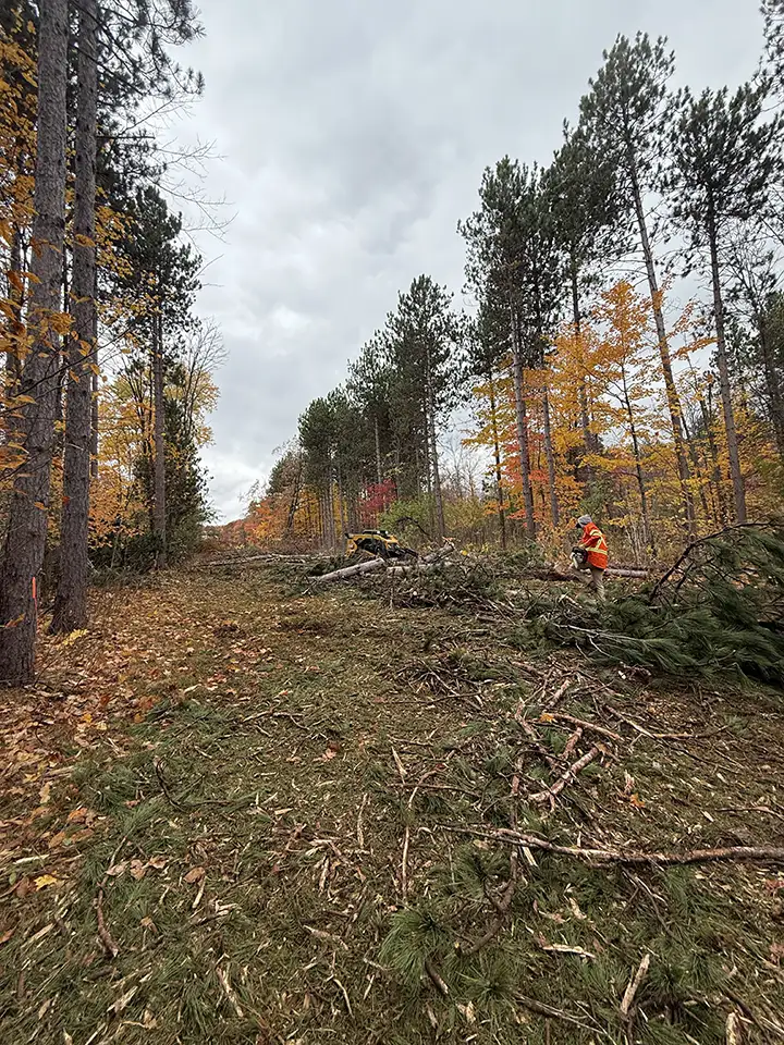 King Creek Oct2 King Creek Land Clearing