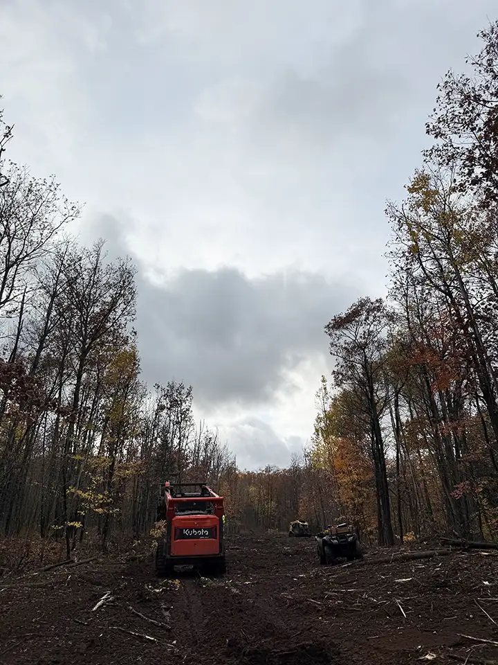 King Creek Oct4 King Creek Land Clearing